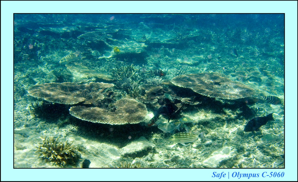 2008 - 07 - Leng Tengah - 057